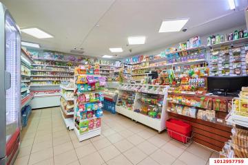 Фото №1: Коммерция 246 м² - Ленина, мкр. СНТ Пашковское, ул. Тихая, 261