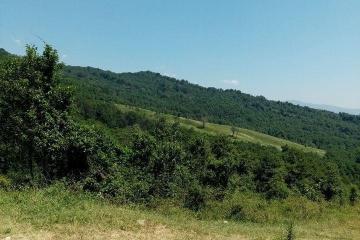 Фото №1: Земельный участок 5.18 сот. - Нижняя Шиловка, мкр. СТ Южное взморье, 116