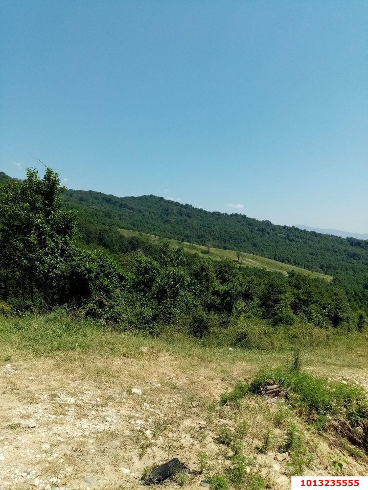 Фото №1: Земельный участок 5.18 сот. - Нижняя Шиловка, Адлерский, мкр. СТ Южное взморье, 116