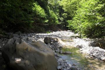 Фото №3: Земельный участок 4 сот. - Мамедова Щель, р. Лазаревский, ул. Ручейная