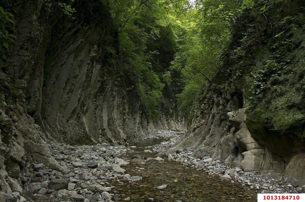 Фото №4: Земельный участок 4 сот. - Мамедова Щель, р. Лазаревский, ул. Ручейная