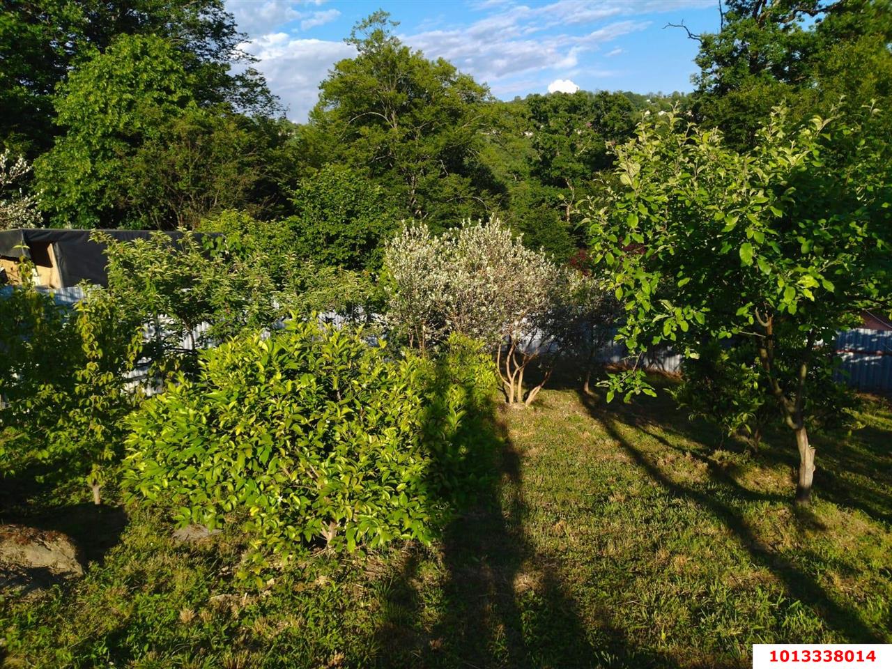 Фото №11: Земельный участок 5.2 сот. - Бестужевское, Адлерский, счт Серпантин, 55