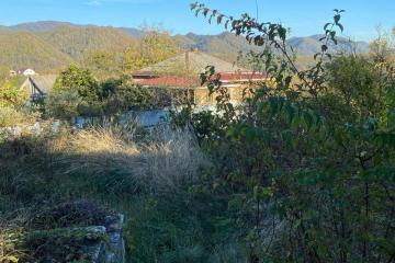 Фото №4: Земельный участок 8.8 сот. - Сочи, ж/р Хоста, ул. Кедровая, 8