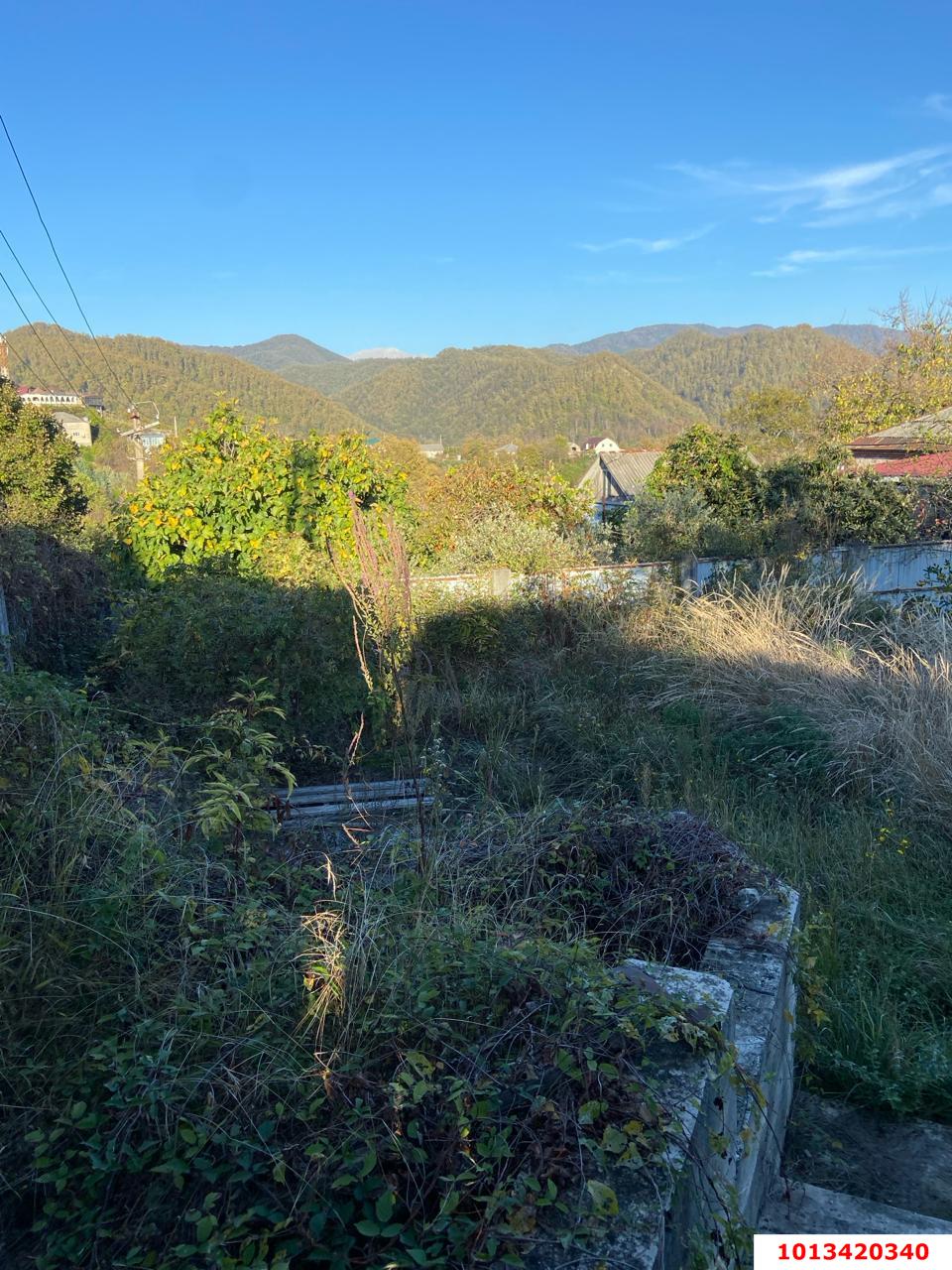 Фото №3: Земельный участок 8.8 сот. - Сочи, Хостинский, ж/р Хоста, ул. Кедровая, 8