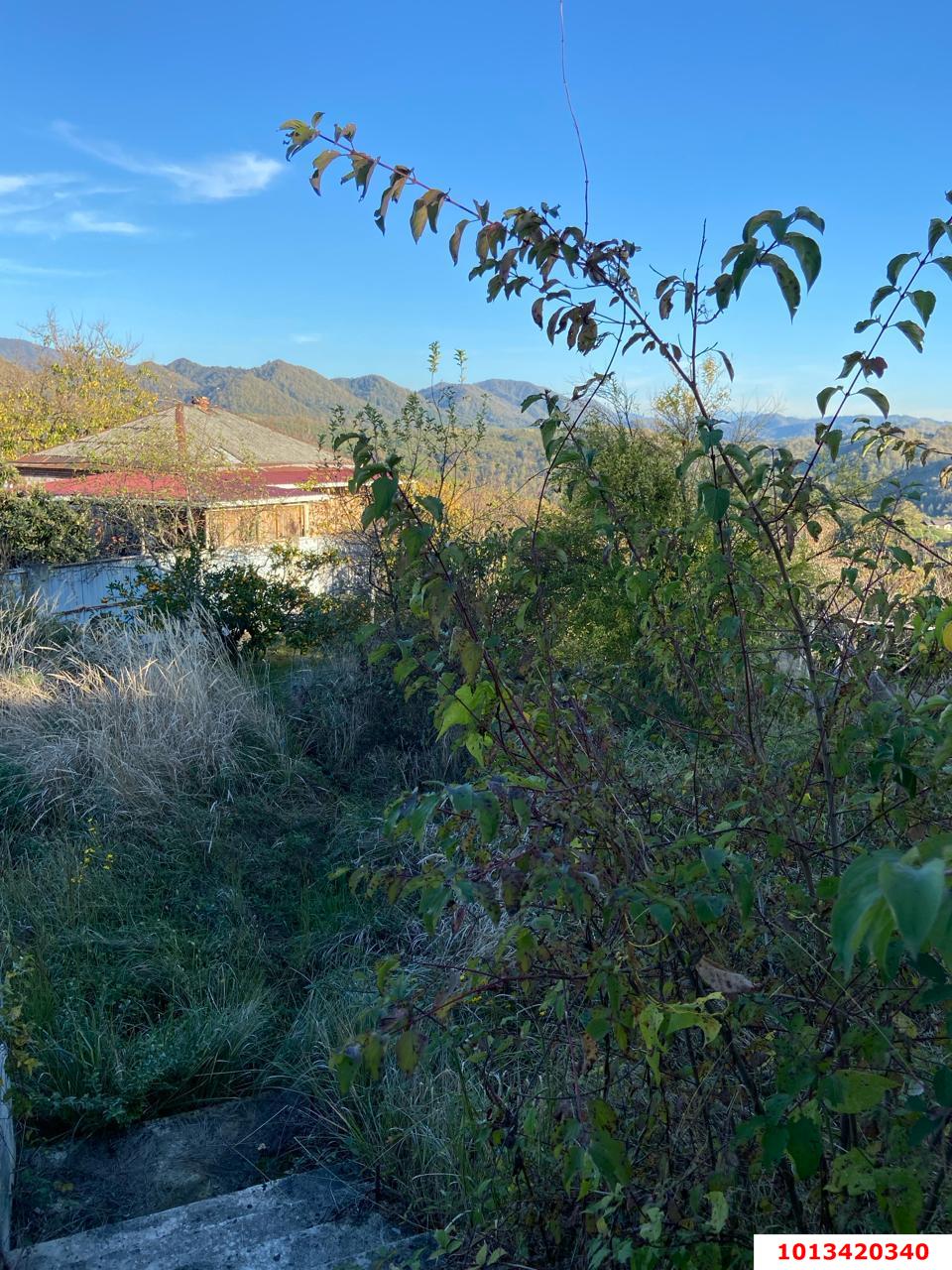 Фото №1: Земельный участок 8.8 сот. - Сочи, Хостинский, ж/р Хоста, ул. Кедровая, 8