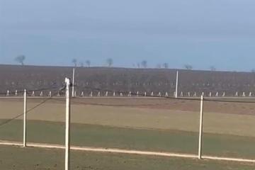 Фото №5: Земельный участок 5 сот. - Веселовка, мкр. Почтовый, ул. Тенистая, 13