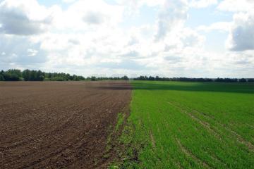 Фото №1: Коммерция 53 м² - Краснодарский край Динской район