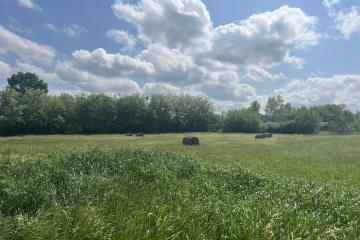 Фото №1: Земельный участок 23 сот. - Песчаный, мкр. Центральный, ул. Гагарина, 1