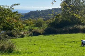Фото №1: Земельный участок 9.9 сот. - Вардане-Верино, р. Адлерский, ул. Табачная, 18