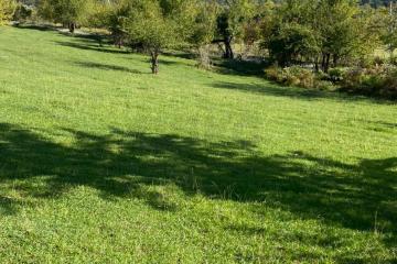 Фото №4: Земельный участок 9.9 сот. - Вардане-Верино, р. Адлерский, ул. Табачная, 18