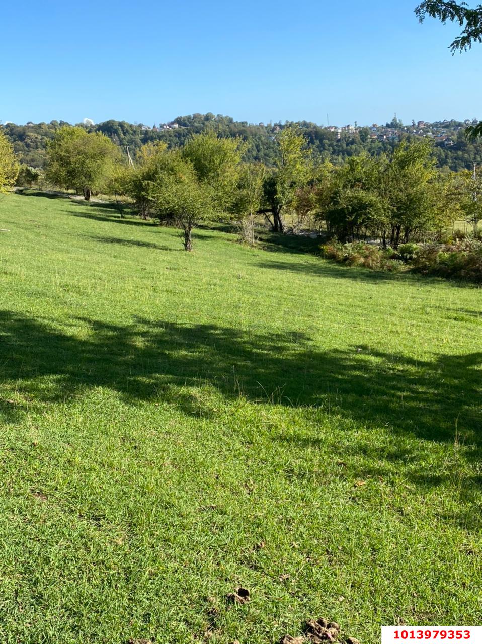 Фото №4: Земельный участок 9.9 сот. - Вардане-Верино, ул. Табачная, 18