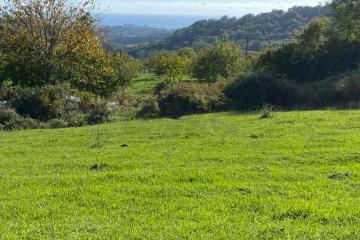 Фото №2: Земельный участок 9.9 сот. - Вардане-Верино, р. Адлерский, ул. Табачная, 18