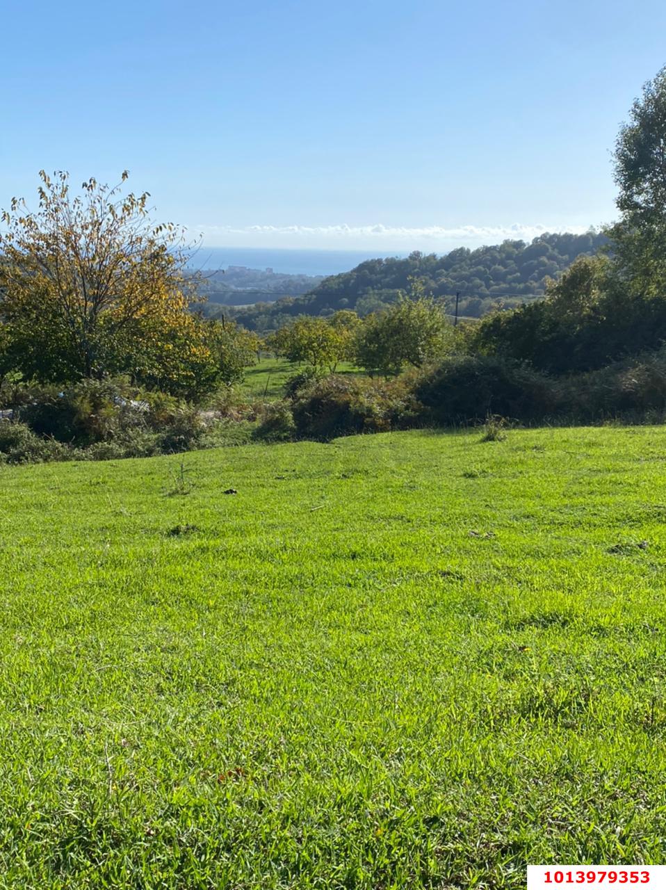 Фото №2: Земельный участок 9.9 сот. - Вардане-Верино, ул. Табачная, 18