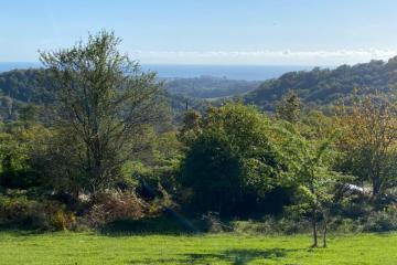 Фото №3: Земельный участок 9.9 сот. - Вардане-Верино, р. Адлерский, ул. Табачная, 18