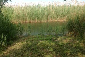 Фото №2: Коммерция 57 м² - Гривенская, мкр. Карасунский внутригородской округ, ул. Советская, 17