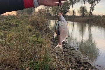 Фото №4: Коммерция 57 м² - Гривенская, мкр. Карасунский внутригородской округ, ул. Советская, 17