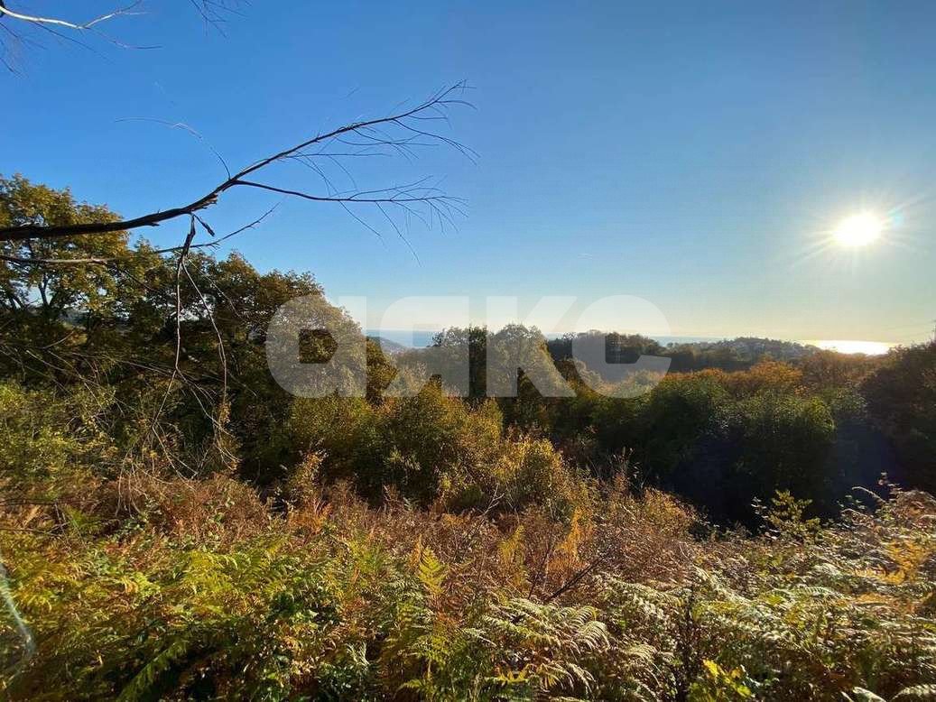 Фото №13: Коттедж 274 м² + 51 сот. - Верхнее Буу, р. Лазаревский, ул. Октемберянская