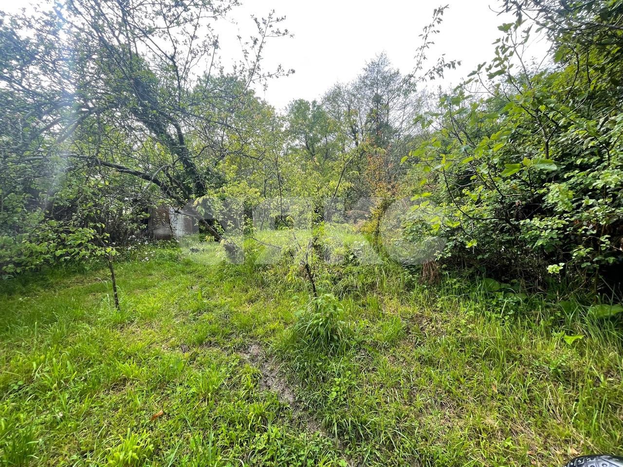 Фото №11: Дом 60 м² + 7 сот. - Сочи, Центральный, мкр. Донская, 83