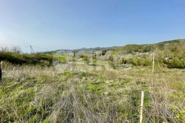 Фото №5: Земельный участок под ИЖС - Краснодарский край городской округ Сочи