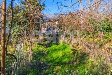 Фото №3: Участок садоводство - Раздольное, счт Пантюшкина Поляна, 