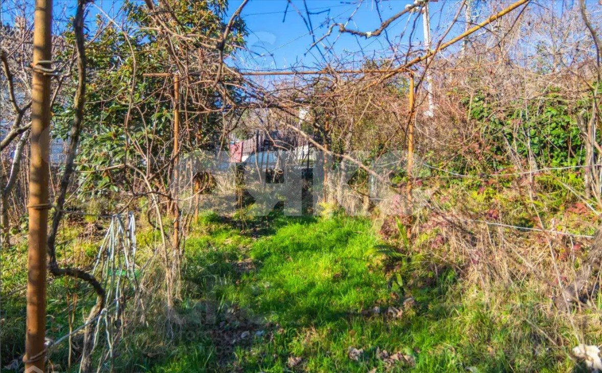 Фото №3: Участок садоводство 6.6 сот. - Раздольное, Хостинский, счт Пантюшкина Поляна