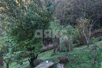 Фото №4: Участок садоводство - Пластунка, р. Хостинский, 