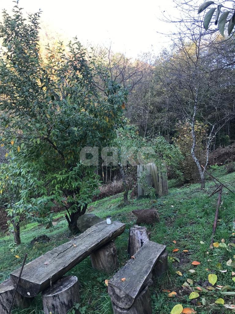 Фото №4: Участок садоводство 6.78 сот. - Пластунка, р. Хостинский