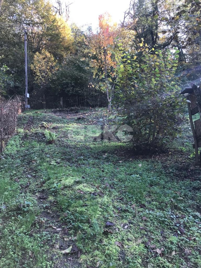 Фото №7: Участок садоводство 6.78 сот. - Пластунка, р. Хостинский