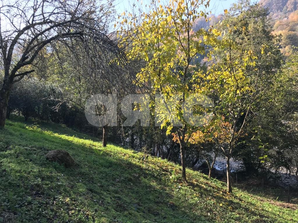 Фото №3: Участок садоводство 6.78 сот. - Пластунка, р. Хостинский