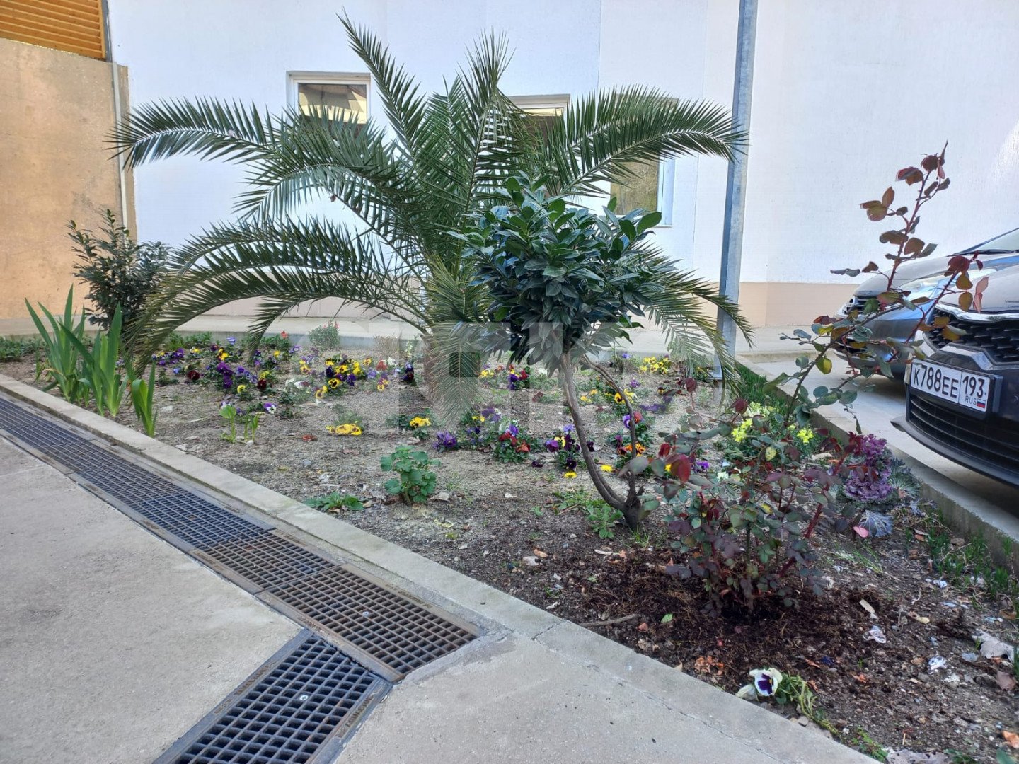 Фото №17: 2-комнатная квартира 48 м² - Сочи, Центральный, мкр. Мамайка, пер. Теневой, 10А