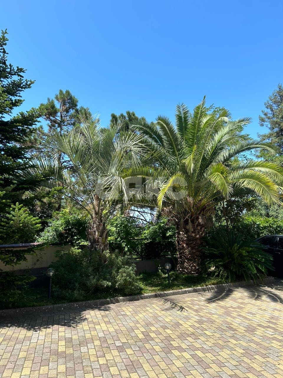 Фото №7: 3-комнатная квартира 135 м² - Сочи, Центральный, мкр. Завокзальный, ул. Альпийская, 7/3