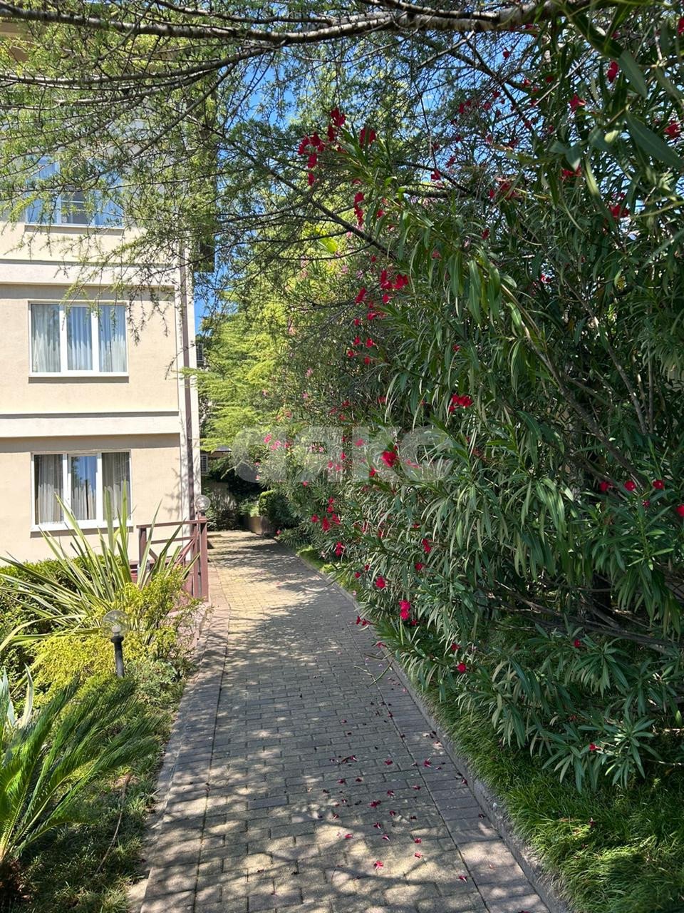 Фото №6: 3-комнатная квартира 135 м² - Сочи, Центральный, мкр. Завокзальный, ул. Альпийская, 7/3