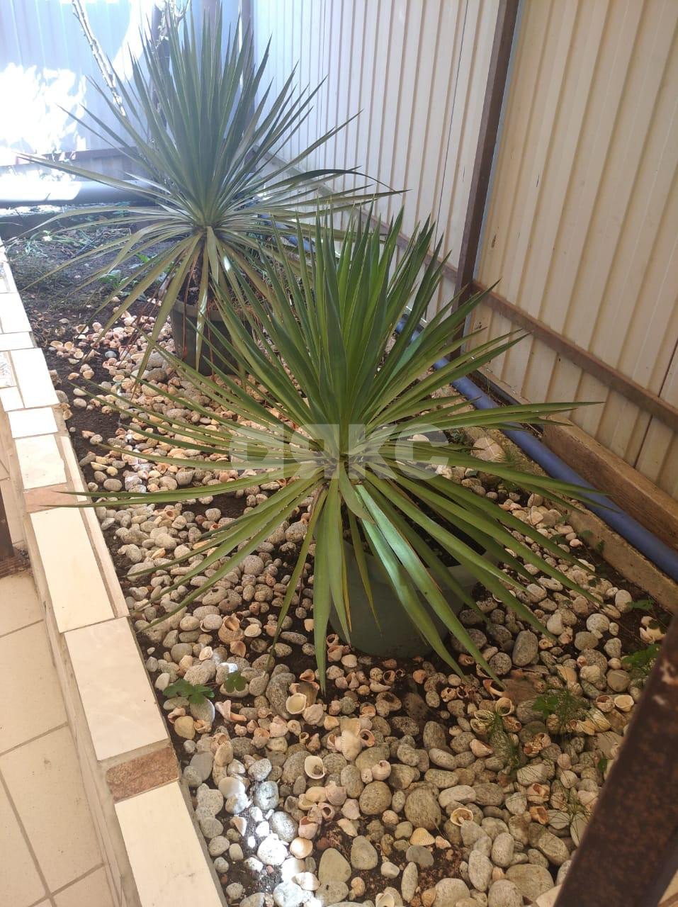 Фото №7: Дом 120 м² + 2 сот. - Сочи, Лазаревский, мкр. Культурное Уч-Дере, ул. Семашко