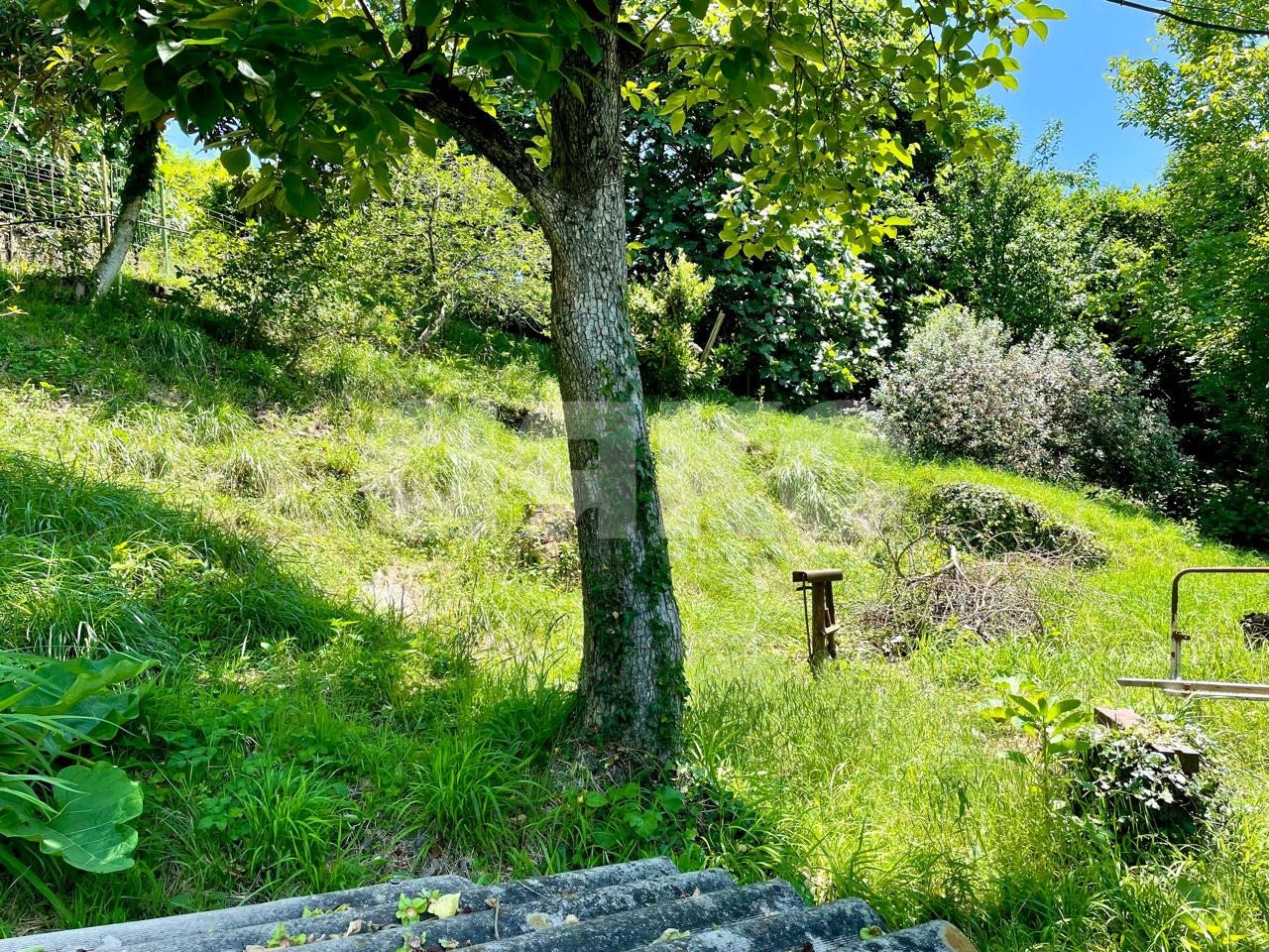 Фото №2: Коммерческая земля 15 сот. - Прогресс, р. Хостинский, ул. Юбилейная