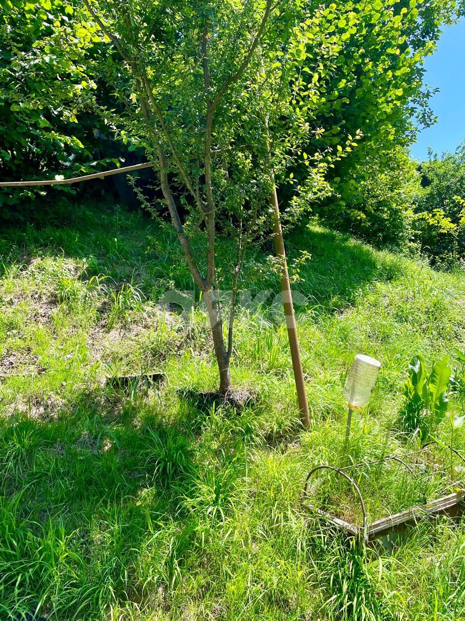 Фото №5: Коммерческая земля 15 сот. - Прогресс, р. Хостинский, ул. Юбилейная