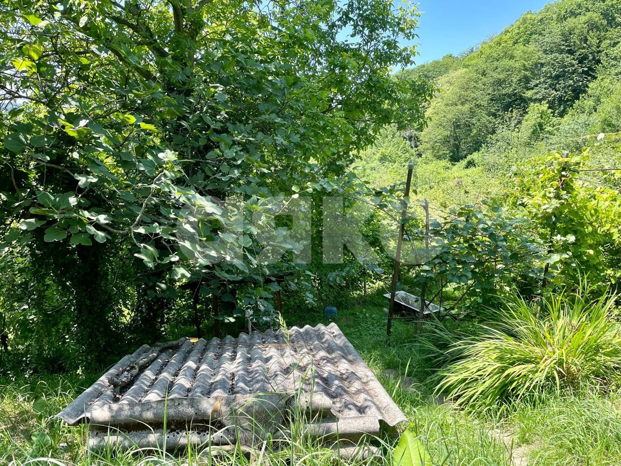 Фото №4: Коммерческая земля 15 сот. - Прогресс, р. Хостинский, ул. Юбилейная