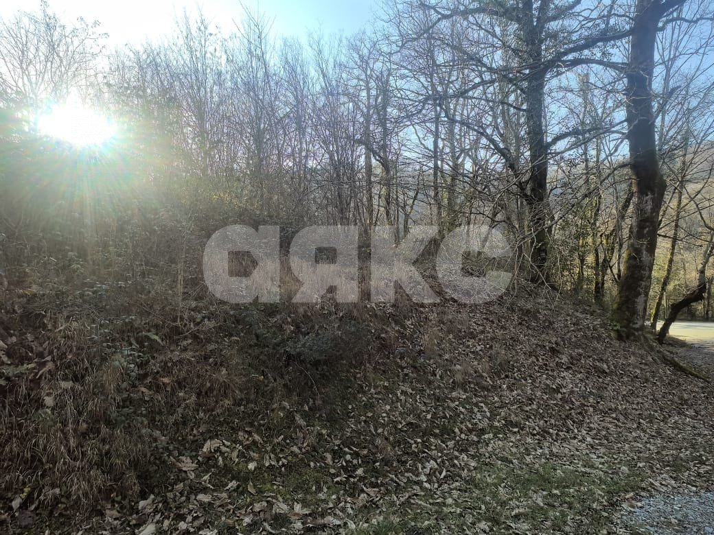 Фото №5: Участок садоводство 11.3 сот. - Краснодарский край городской округ Сочи