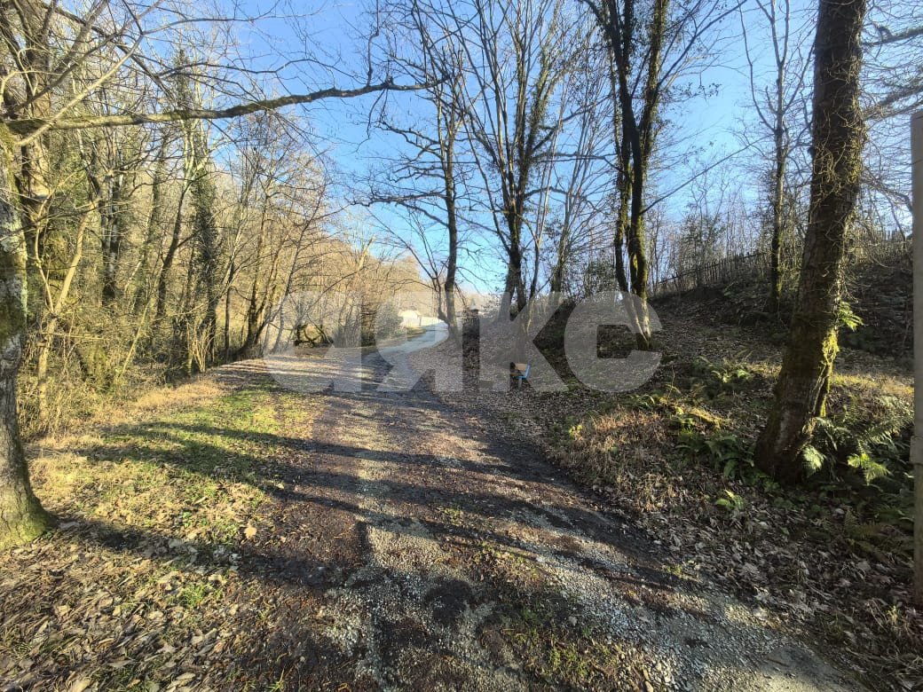 Фото №1: Участок садоводство 11.3 сот. - Краснодарский край городской округ Сочи