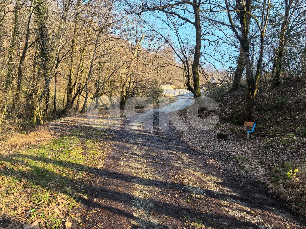 Фото №2: Участок садоводство 11.3 сот. - Краснодарский край городской округ Сочи