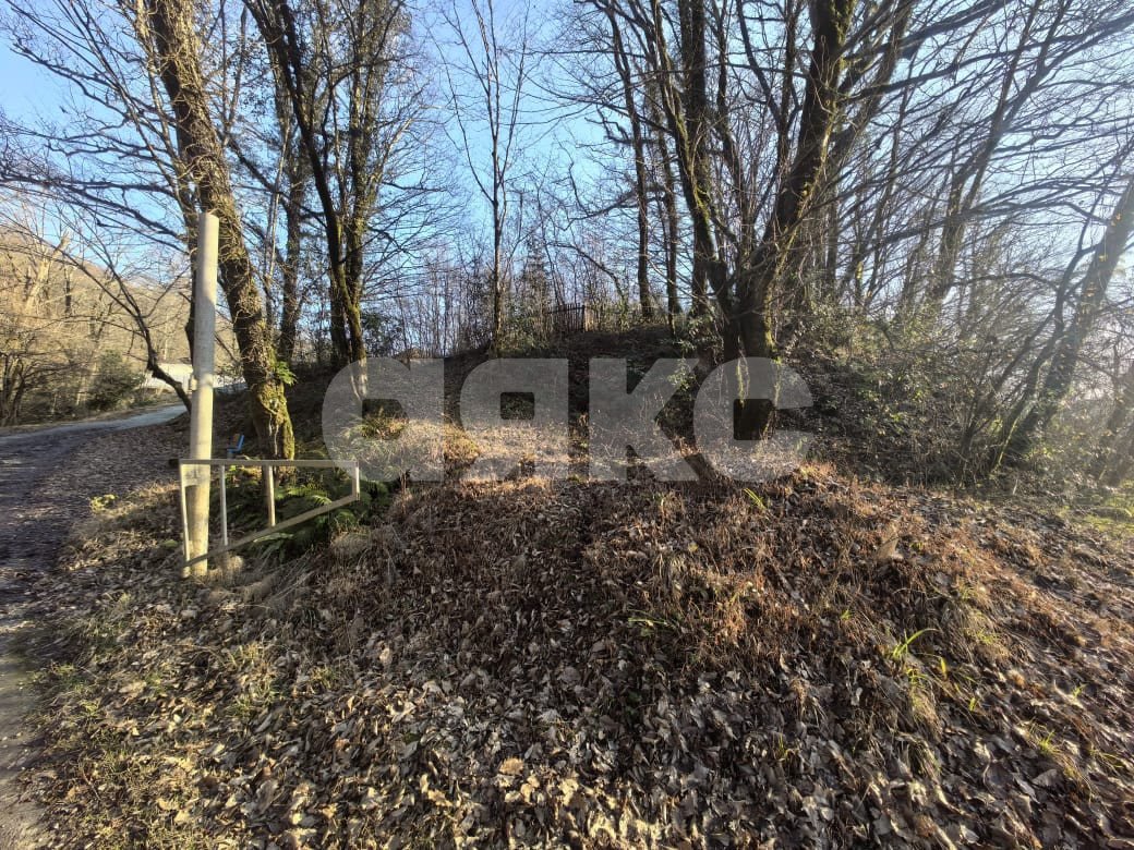 Фото №4: Участок садоводство 11.3 сот. - Краснодарский край городской округ Сочи