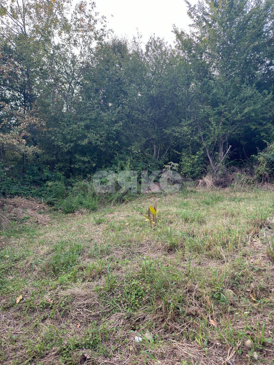 Фото №5: Земельный участок под ИЖС 4.5 сот. - Высокое, р. Адлерский, ул. Некрасова