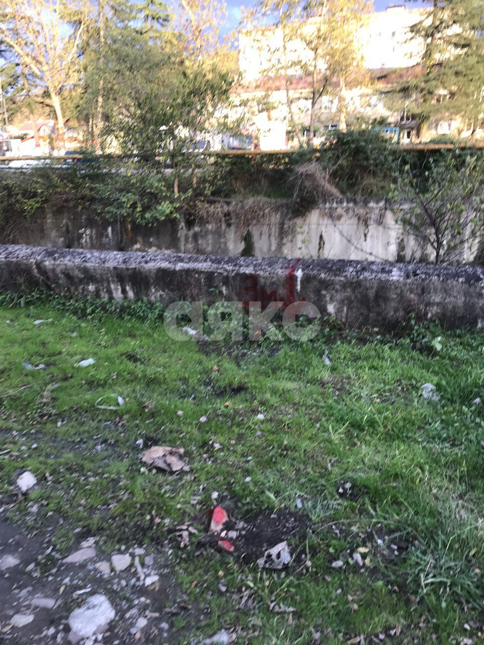 Фото №18: Земельный участок под ИЖС 5.19 сот. - Горное Лоо, р. Лазаревский, пер. Лооский