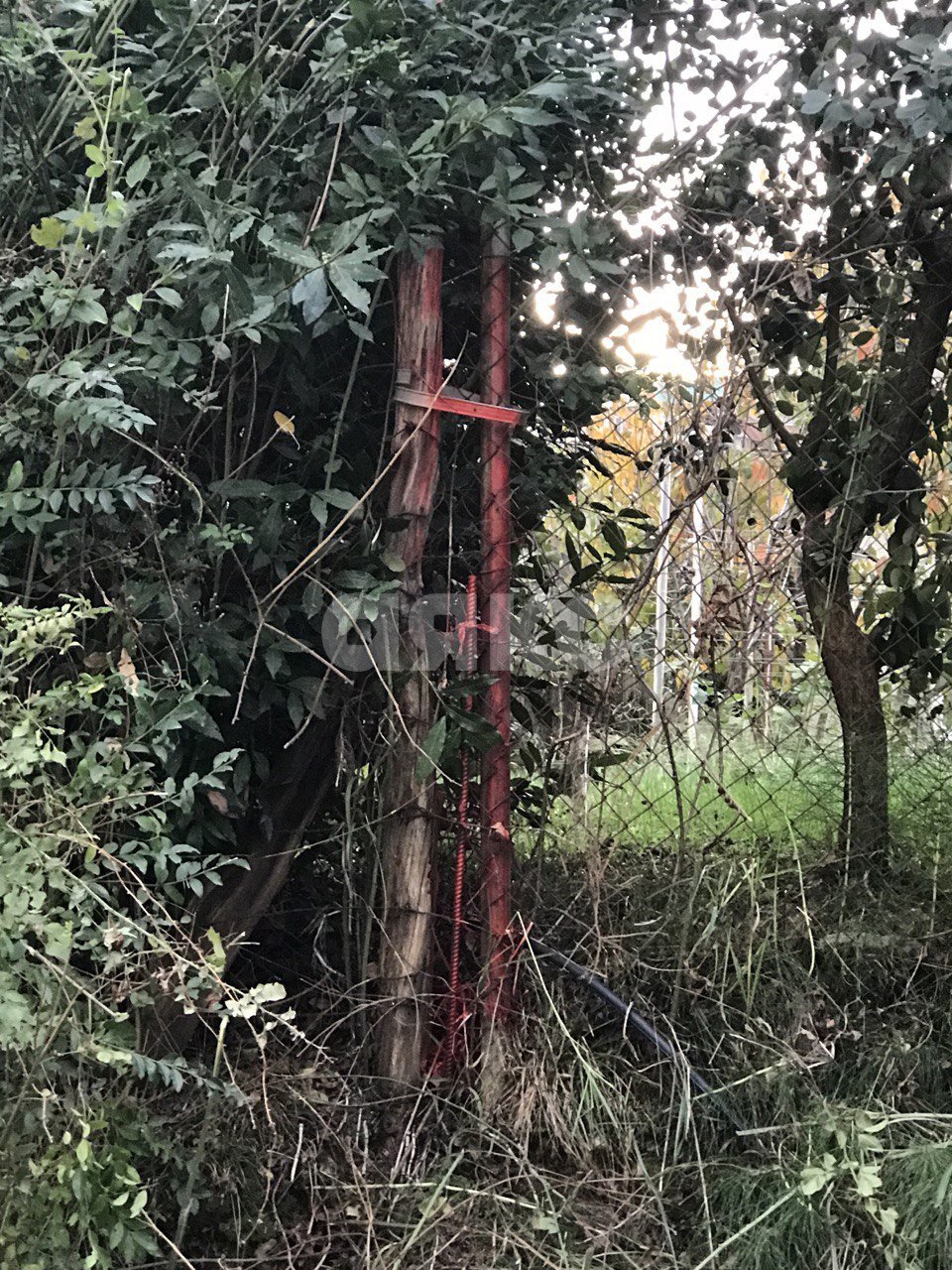 Фото №11: Земельный участок под ИЖС 5.19 сот. - Горное Лоо, р. Лазаревский, пер. Лооский