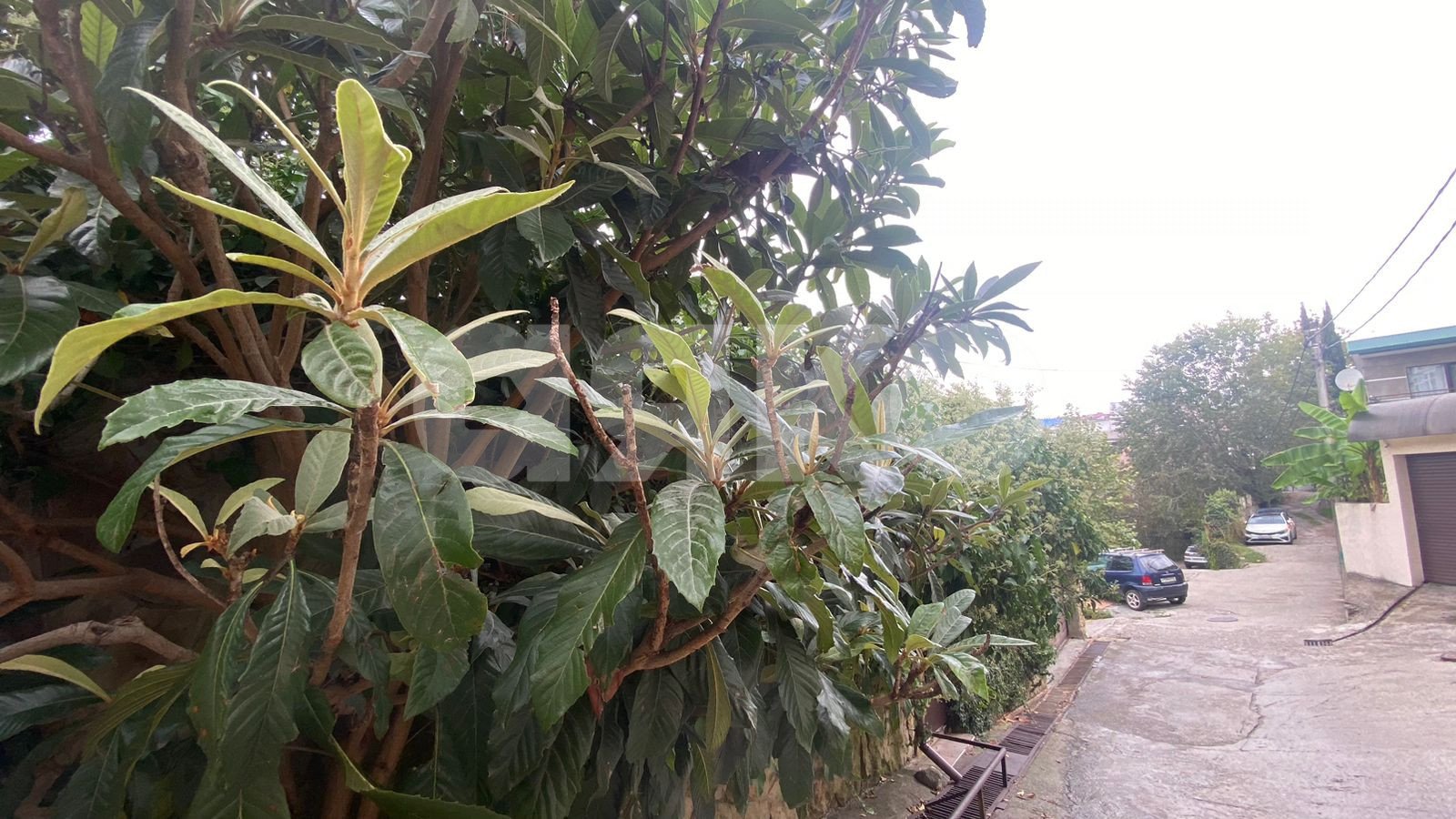 Фото №8: Студия 21 м² - Сочи, Центральный, мкр. Новый Сочи, ул. Виноградная, 135/10