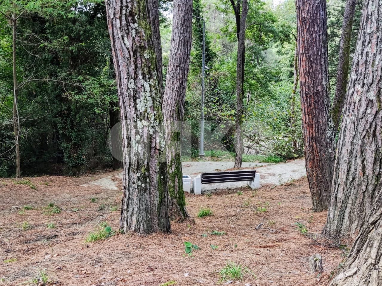 Фото №23: 2-комнатная квартира 67 м² - Сочи, Центральный, мкр. Заречный, ул. Вишнёвая, 17