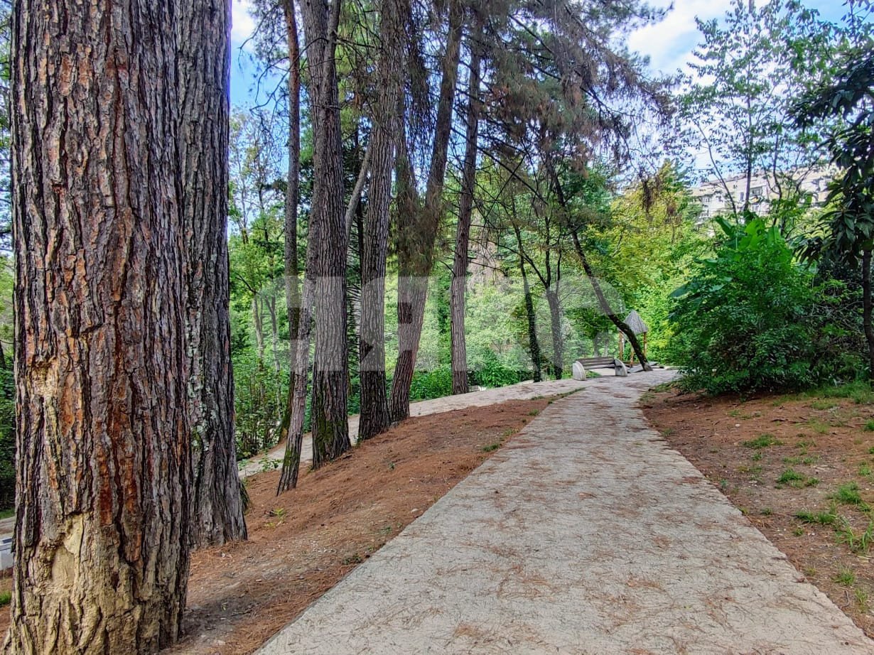 Фото №22: 2-комнатная квартира 67 м² - Сочи, Центральный, мкр. Заречный, ул. Вишнёвая, 17