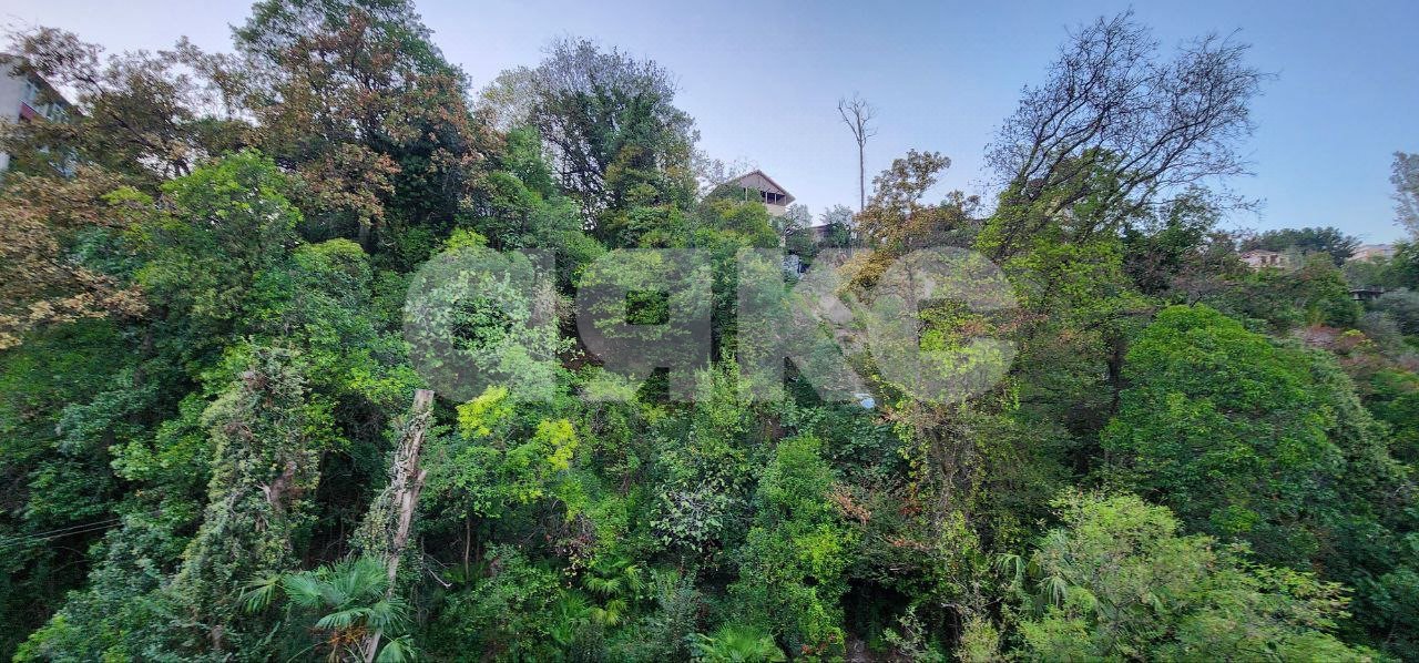 Фото №26: 3-комнатная квартира 65 м² - Сочи, Центральный, мкр. Донская, ул. Подгорная, 5