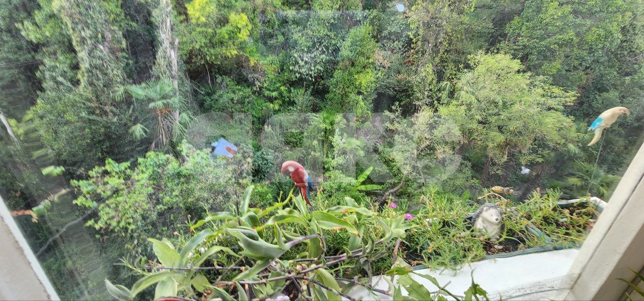 Фото №27: 3-комнатная квартира 65 м² - Сочи, Центральный, мкр. Донская, ул. Подгорная, 5