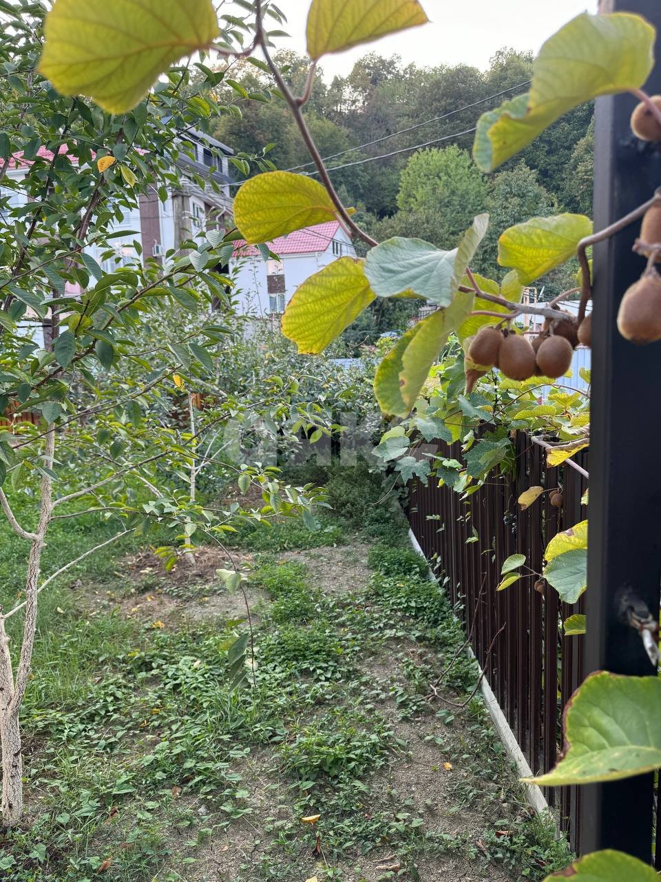 Фото №21: Дом 142 м² + 2.78 сот. - Барановка (Хостинский район), р. Хостинский, ул. Высокогорная, 60