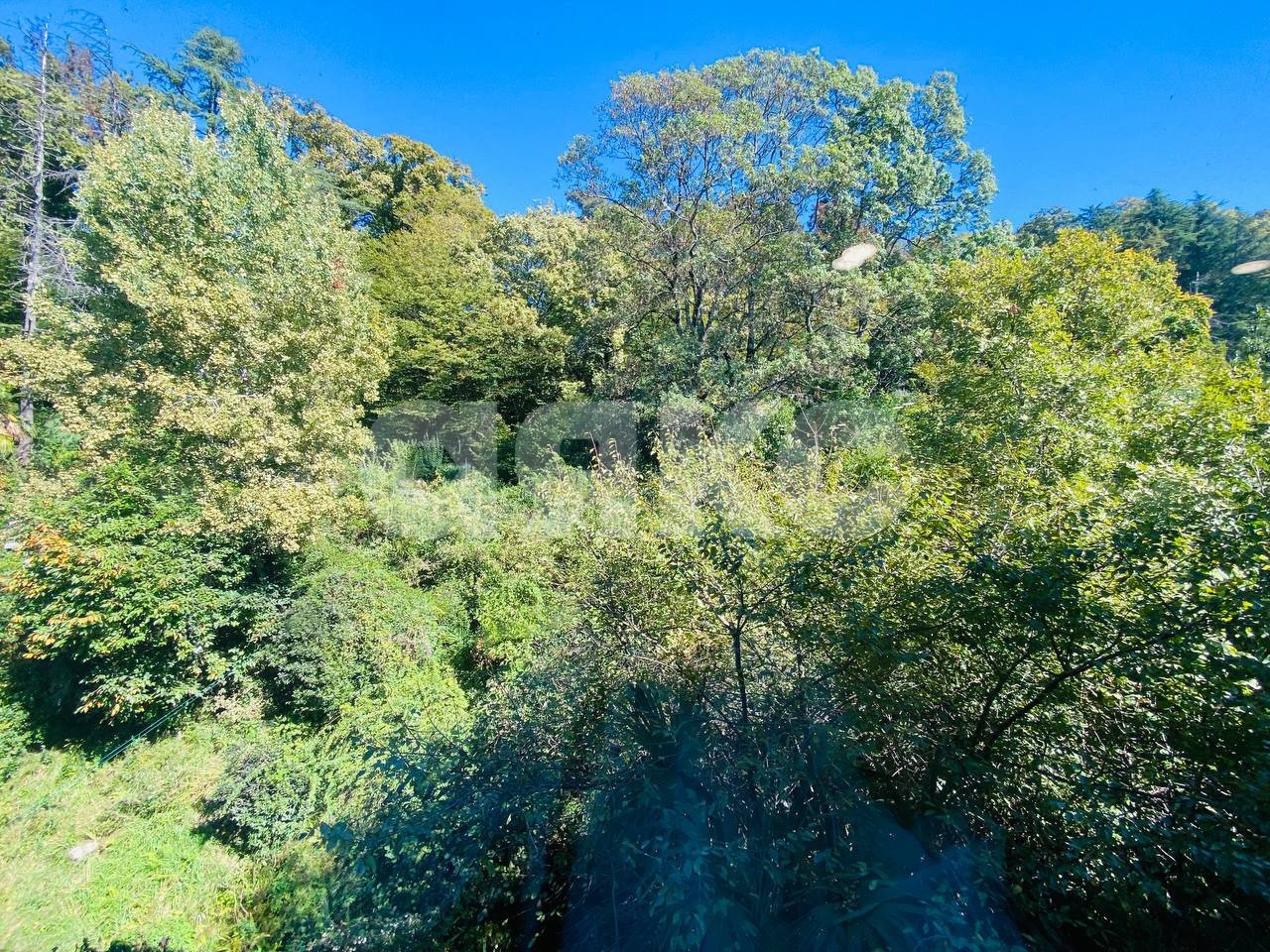 Фото №13: 2-комнатная квартира 47 м² - Сочи, Хостинский, мкр. Бытха, ул. Лесная, 3